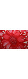1950s Vintage Apron - Size Small Brilliant Red Daisies Cotton Floral - Cottage Style 50s House Wife Daisy Half Apron - Mint Condition