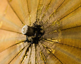 1910s Brown Umbrella - Mocha & Metallic Gold 10s 20s Parasol - Rayon Brocade with Bamboo Shaft and Clear Lucite Handle - Beautiful Style