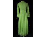 Size 10 Evening Dress - 1960s Sheer Pistachio Organdy - Pleated Pastel Mint Green Silk - 60s Renaissance Style Fair Maiden Gown - Waist 28
