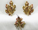 60s Mocha Leaf Pin & Earrings - BSK - Brown Autumn Fall Leaves - 1960s - Petite - Clip Earring - Aurora Borealis Rhinestones - 42710