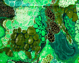 60s Green Cotton Fabric - 2 Yards x 55 Inches - 1960s High Quality Hippie Yardage Titled Ecology Let It Be - Abstract Primordial Botanical