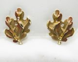 60s Mocha Leaf Pin & Earrings - BSK - Brown Autumn Fall Leaves - 1960s - Petite - Clip Earring - Aurora Borealis Rhinestones - 42710