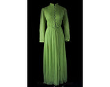 Size 10 Evening Dress - 1960s Sheer Pistachio Organdy - Pleated Pastel Mint Green Silk - 60s Renaissance Style Fair Maiden Gown - Waist 28